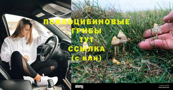 ешки Каменка