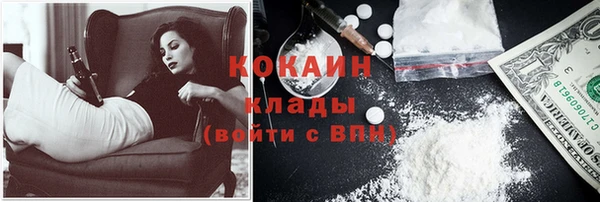 индика Карталы