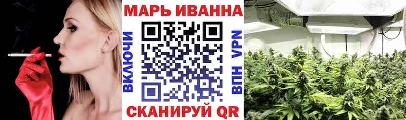 Каннабис планчик Дубна